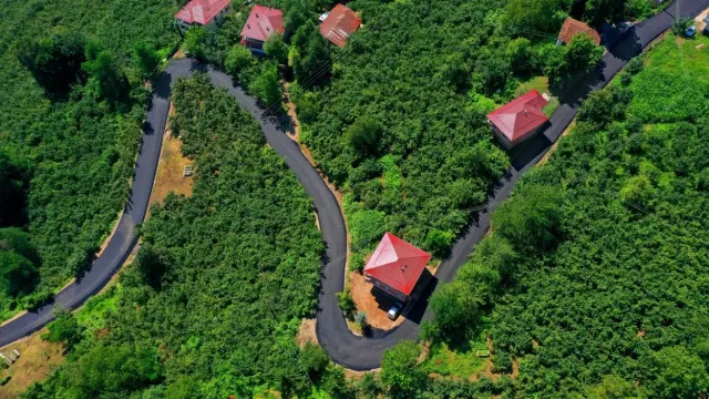 BÜYÜKŞEHİRDEN TURİZME ÇIKAN YOLA SICAK ASFALT