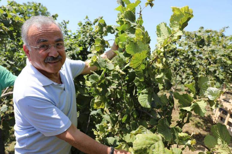 “FINDIK DALDA, AKLIN İŞÇİDE KALMASIN” PROJESİNE REKOR BAŞVURU