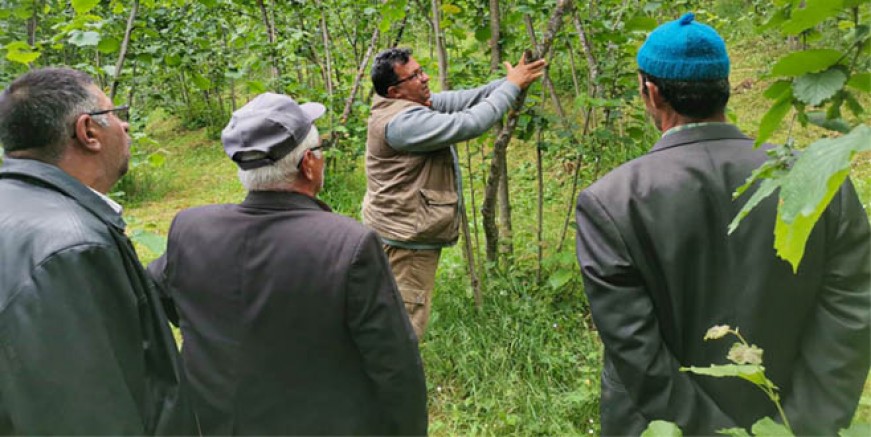 AKKUŞ’TA ÜRETİCİLERE ORGANİK TARIM EĞİTİMİ VERİLDİ