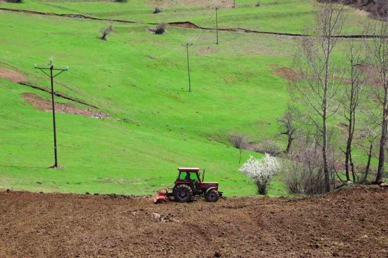 ORDU’NUN ATIL ARAZİLERİ YENİDEN TARIMLA BULUŞTU