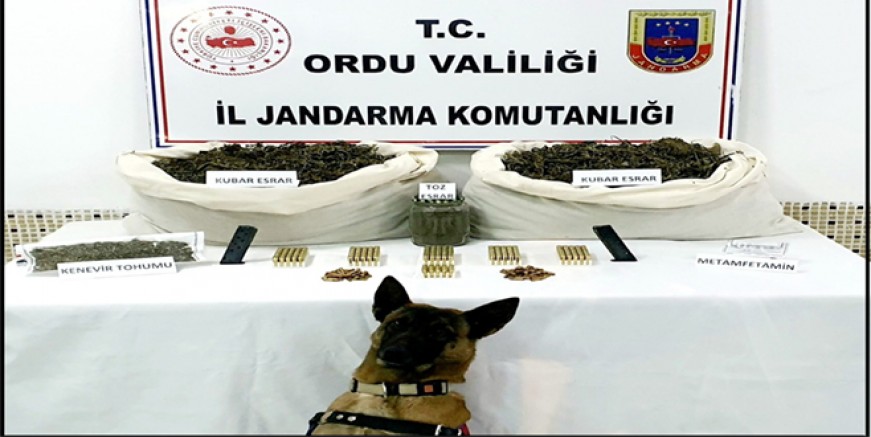  FATSA’DA UYUŞTURUCU OPERASYONU