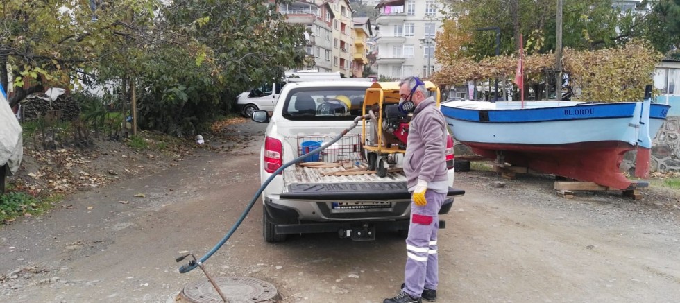 HAŞERELERE KIŞLAK MÜCADELESİ BAŞLADI