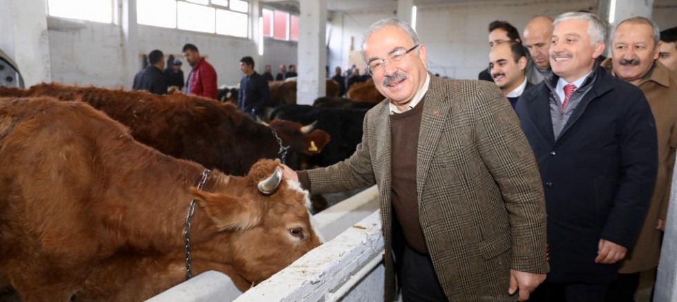 HAYVANCILIK ARTIK DAHA KOLAY