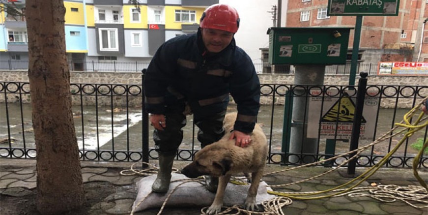 MAHSUR KALAN ÇOBAN KÖPEĞİNİ İTFAİYE EKİPLERİ KURTARDI 