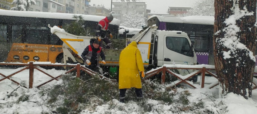 ORDU’DA ŞİDDETLİ KAR, AĞAÇLARA ZARAR VERDİ 