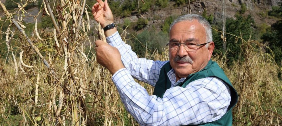TÜRKİYE’NİN VAZGEÇEMEDİĞİ LEZZET: AKKUŞ ŞEKER FASULYESİ